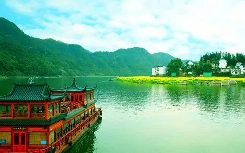 智能系统先进先进